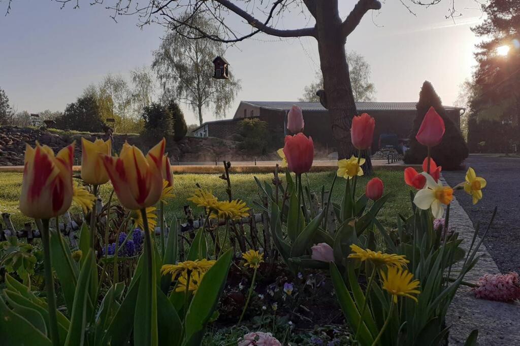 Poggenhagen Urlaub Mitten In Der Natur Neustadt am Rubenberge Exterior photo